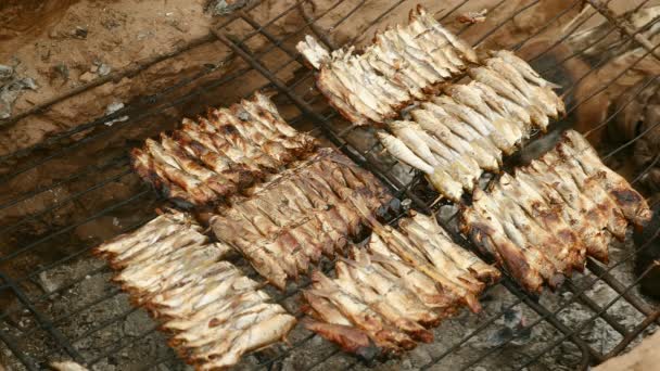 Grilling little fish skewers on in-ground barbecue (close-up) — Stock Video