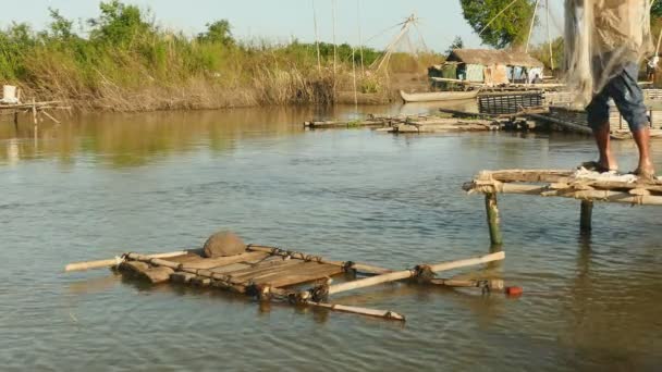Primo piano di una rete di colata di pescatore in uno stagno da una piccola piattaforma di legno . — Video Stock