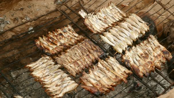 Гриль маленьких рибних шампурів на місці барбекю (закрити ) — стокове відео