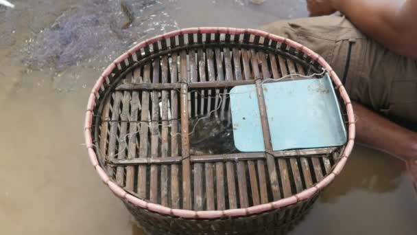 Fishers removing enmeshed river fishes by hand from a net and throwing it into a bamboo basket — Stock Video