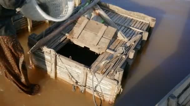 渔民转移鱼到木鱼板条箱 (关闭 ) — 图库视频影像