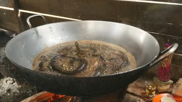 Nær friterte slanger i wok-matlaging – stockvideo
