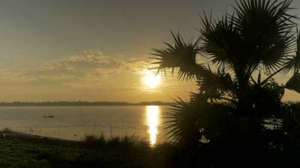 Ragyogó sunrise tükrözi a folyó és a palm fa sziluettje az előtérben — Stock videók
