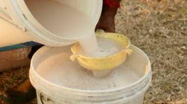 aşırı yakın çekim hasat palm sap plastik kova içine hedefe yönlendirmeye bir toddy uzantılar