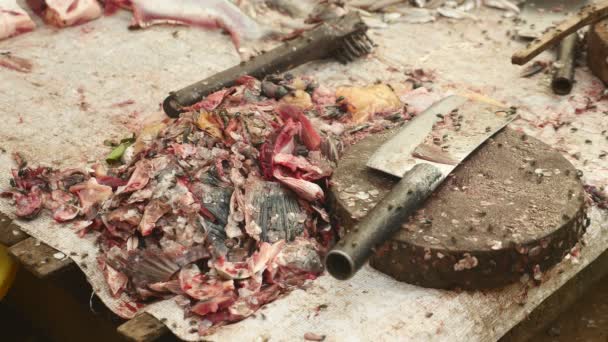 Vuela sobre los residuos de pescado después de cortar en tablero de madera con un cuchillo de carnicero (de cerca  ) — Vídeos de Stock