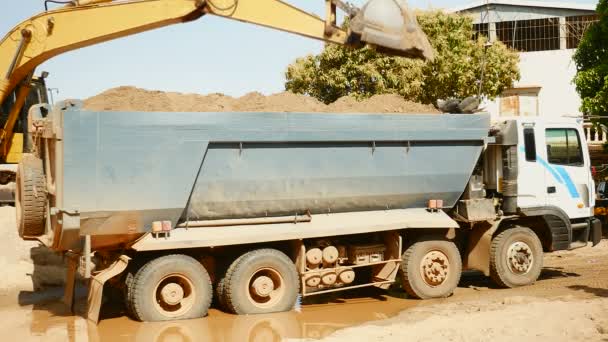 Grävmaskin laddar sand i en dumper lastbil — Stockvideo