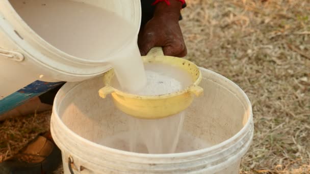 Extreme close up of a toddy-tapper funneling harvested palm sap into a plastic bucket — Stock Video