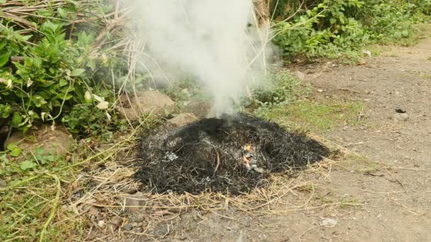 Brûlage des déchets de jardin et dégagement de fumée sur le sol — Video