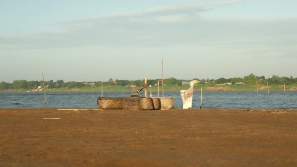 Bambu korgar används för fiske på flodstranden på en blåsig dag — Stockvideo