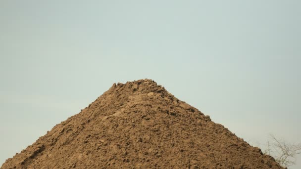 Graafmachine ontladen en stapelen zich op zand (extreme close-up) — Stockvideo