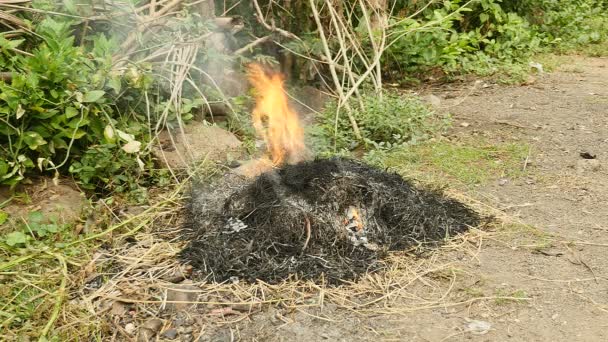 Förbränning av varvet avfall, som löv, gräs och andra naturliga vegetationen — Stockvideo