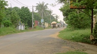 Taşıma kil kase ve tencere öküz arabaları