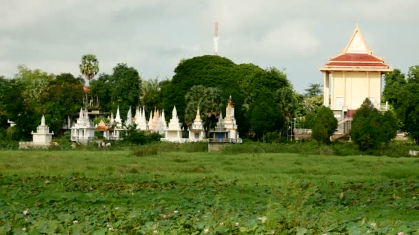 Campo de Loto (Nelumbo Nucifera) y pagoda bajo cielos nublados — Vídeos de Stock