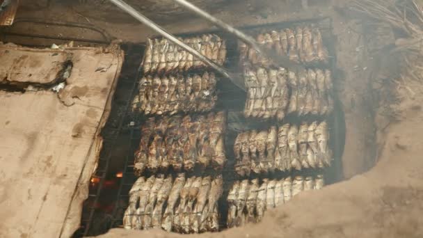 Barbacoa en el suelo con parrilla de pescado y pinzas de cocción (de cerca)  ) — Vídeo de stock