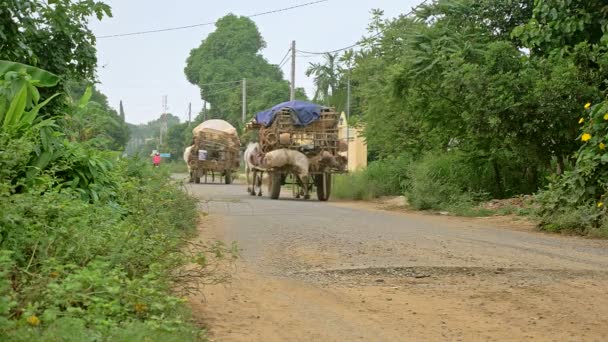 Bakifrån på ox-vagnar som transporterar lera skålar och kastruller — Stockvideo