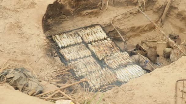 Woman adding coconut shells to feed the fire of a fish grilling in-ground barbecue — Stock Video