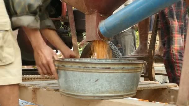 Agricultores que trabajan con una máquina desgranadora de maíz para eliminar granos de maíz de las mazorcas (de cerca)  ) — Vídeos de Stock