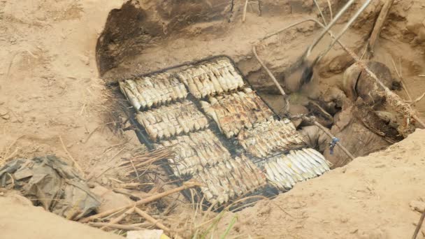 Woman feeding fire with coconut shells to grill fish on in-ground barbecue — Stock Video