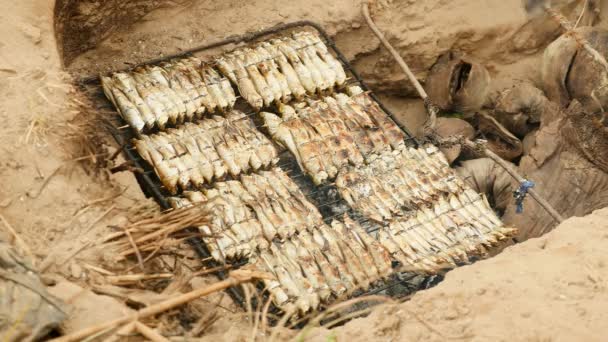 Woman feeding fire with coconut shells to grill fish on in-ground barbecue — Stock Video