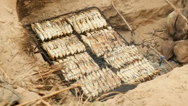 Woman covering grilling fish on in-ground barbecue with cardboard ( close up ) — Stock Video