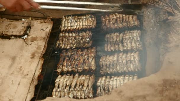 Barbacoa en el suelo con parrilla de pescado y pinzas de cocción (de cerca)  ) — Vídeo de stock