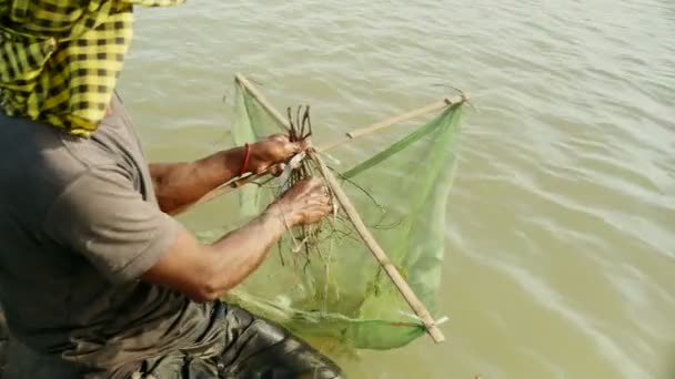 Close-up on prawn fisherman baiting net and dropping it into river — Stock Video