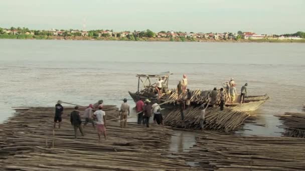 Workers loading a small barge with bamboo poles stored in water — Stock Video
