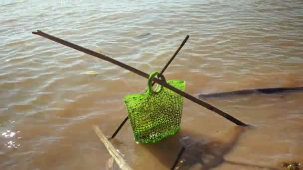 Fisher keeping fresh-caught fishes inside a plastic basket hold with bamboo poles in water — Stock Video