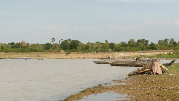 Canoe Dugout ormeggiate lungo il bordo dell'acqua e un branco di bufali d'acqua che salgono dal lago dopo il bagno come sfondo — Video Stock