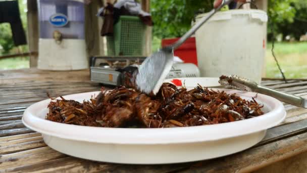 Haufen frittierter Heuschrecken in einer Plastikschüssel — Stockvideo