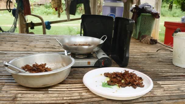 Frituren sprinkhanen in Wok Cooking — Stockvideo