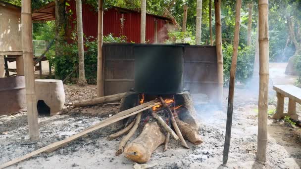 Grande pentola di cottura sul fuoco aperto su legno e pietra — Video Stock