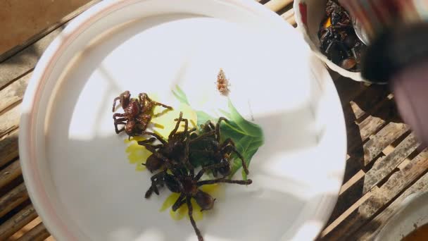 Woman taking deep fried tarantulas out of a wok using metal tongs and putting them into a plate — Stock Video