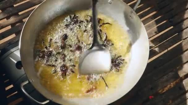 Woman turning over deep frying tarantulas inside a wok using a metal spatula — 비디오