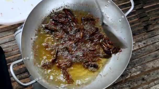 Γυναίκα ανακατεύοντας βαθύ τηγάνισμα ακρίδες μέσα σε ένα γουόκ με μια μεταλλική σπάτουλα — Αρχείο Βίντεο