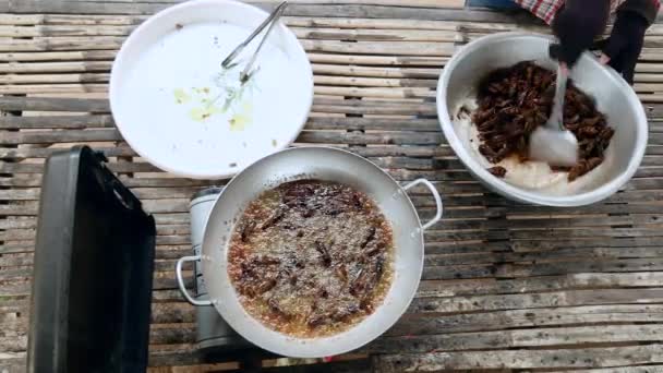 Frittierte Heuschrecken in der Wok-Küche — Stockvideo