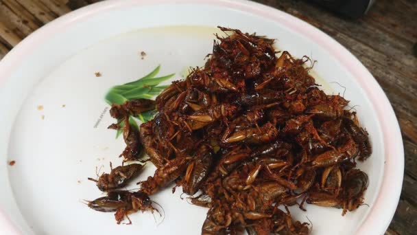 Mujer sacando saltamontes fritos de un wok y poniéndolos en un tazón de plástico — Vídeo de stock