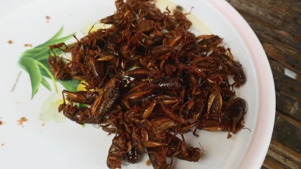 Närbild på friterade gräshoppor på en tallrik — Stockvideo