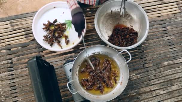 Woman taking deep fried grasshoppers out of a wok and putting them in a plastic bowl — Stock video