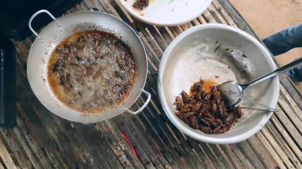 Faire frire les sauterelles dans le wok cooking  