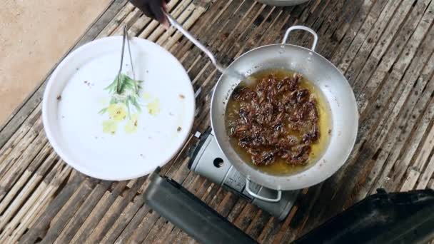 Kobieta, mieszając głębokiego smażenia grasshoppers wewnątrz wok za pomocą metalowej szpatułki — Wideo stockowe