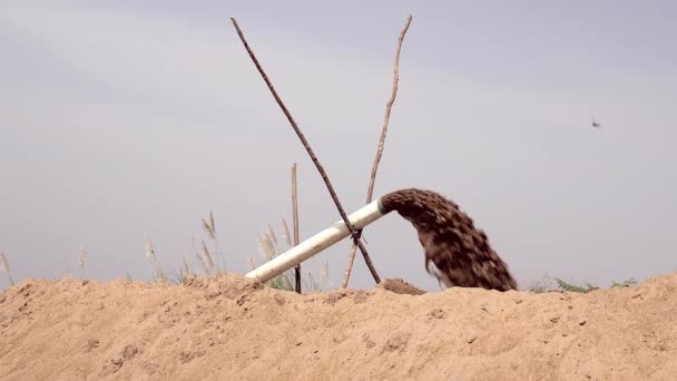 Rohrableitung von ausgebaggertem Flusssand zur Deponie — Stockvideo