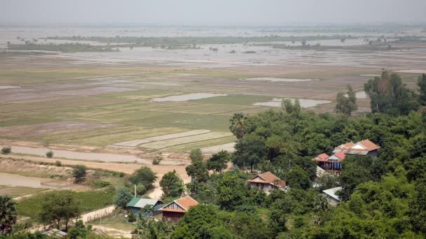 Pocas casas entre vegetación tropical y arrozales inundados en el fondo — Vídeos de Stock