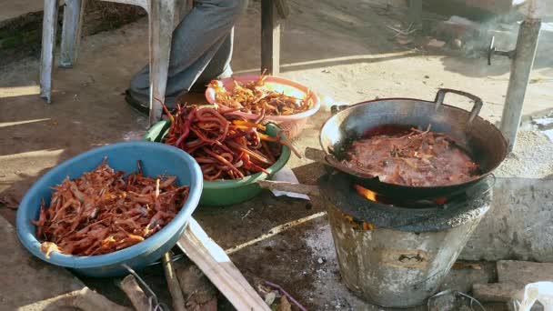 가정용 난로 위에 웍 요리에 튀김 개구리 — 비디오