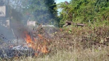 İstenmeyen fırça ve yabani ot dışarı yanma