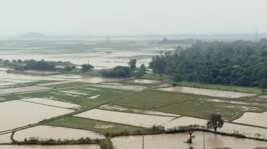 Kırsal manzara ve sular altında paddy alanları