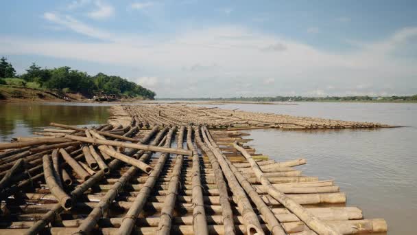 Cumuli di pali di bambù (lunghi circa 40 metri ciascuno) immagazzinati in acqua nel futuro sito del ponte — Video Stock