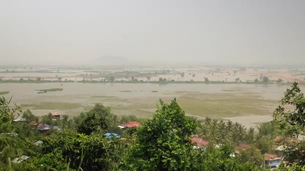 Pequeña ciudad rural entre vegetación tropical y arrozales inundados en el fondo — Vídeo de stock