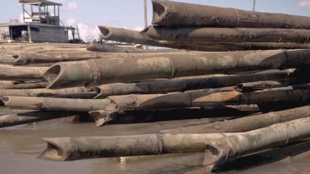 Primer plano de un montón de postes de bambú almacenados en agua a lo largo de la orilla del río — Vídeos de Stock