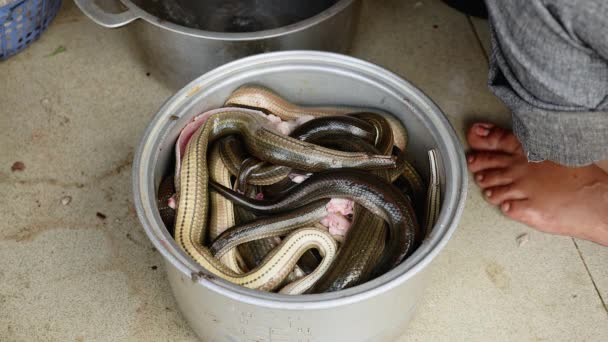 Acél pot töltött a rögzített kígyók a főzéshez